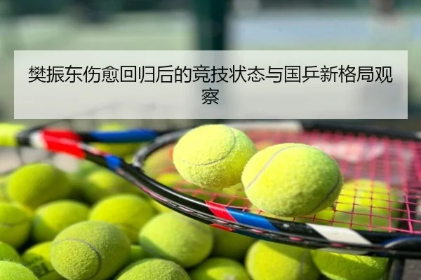樊振东伤愈回归后的竞技状态与国乒新格局观察